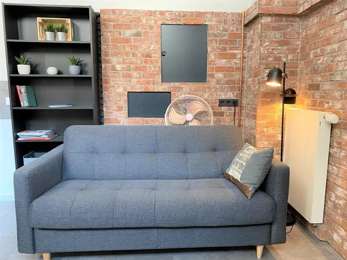 Grosszuegiges Studio-Apartment - Top-Lage + Parken Nuremberg 0*,  Germany